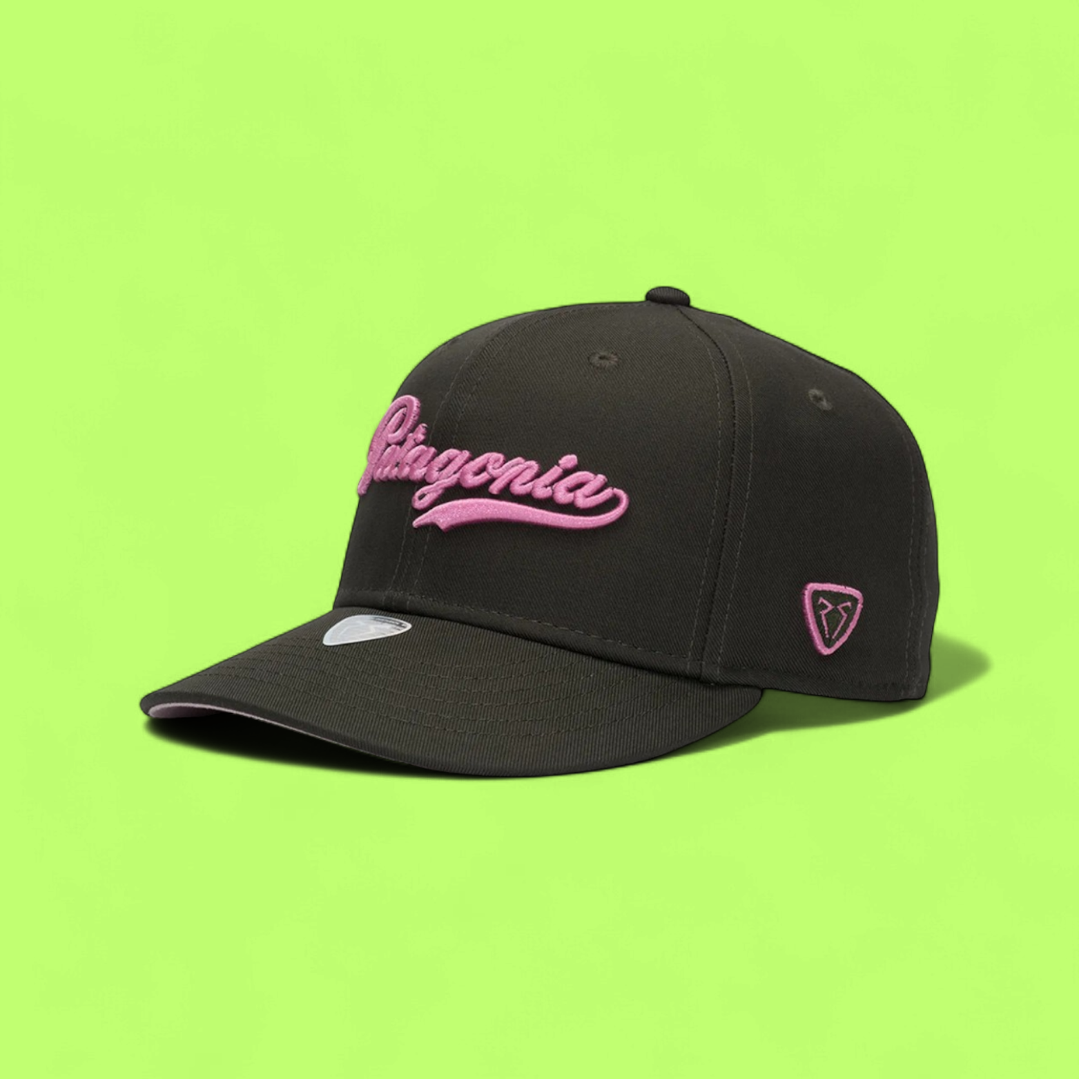 DARK BROWN BASEBALL CAP WITH PINK PATAGONIA EMBROIDERY