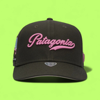 DARK BROWN BASEBALL CAP WITH PINK PATAGONIA EMBROIDERY