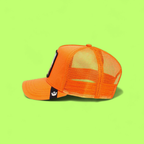 PIT BULL ORANGE TRUCKER HAT WITH EMBROIDERED DOG PATCH
