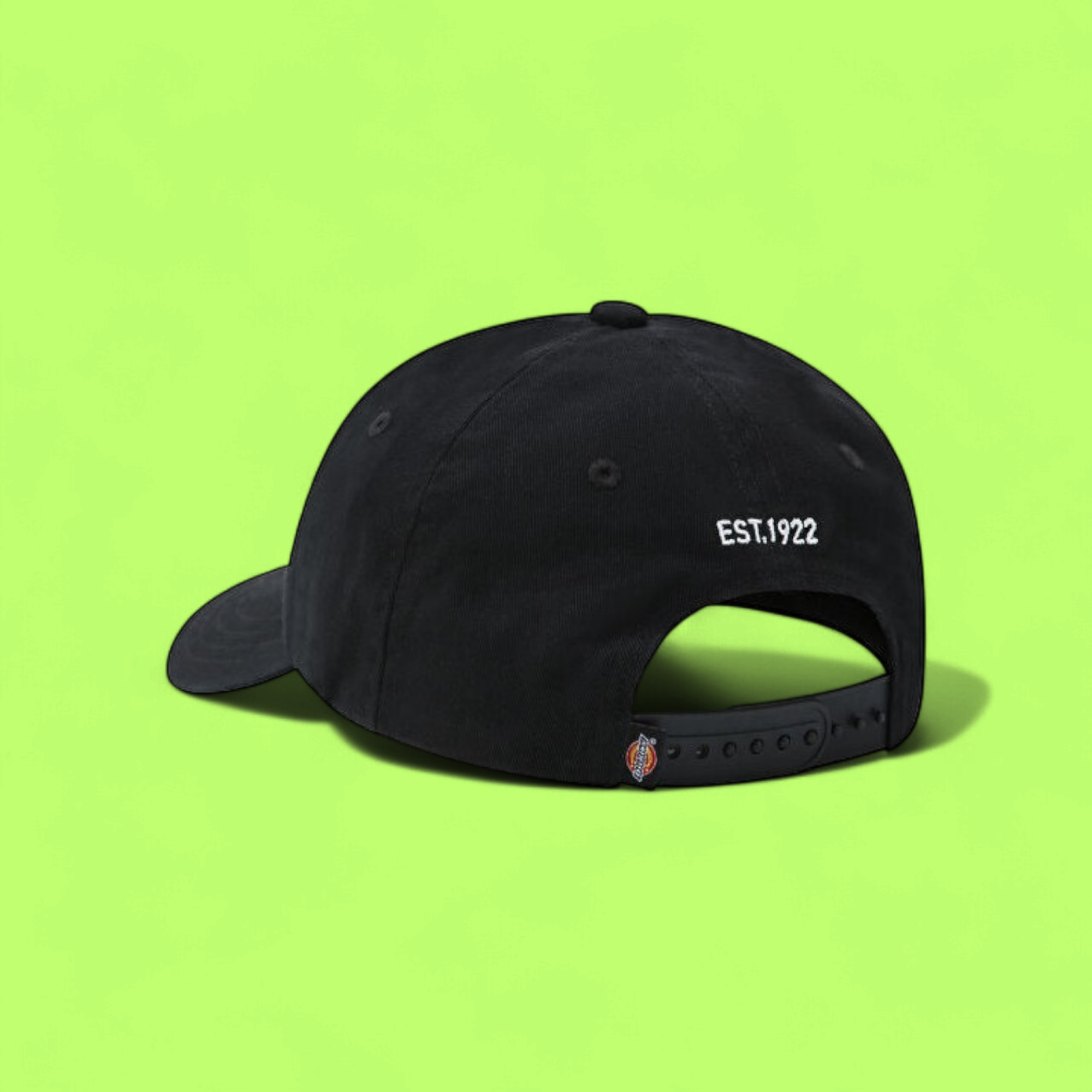 DICKIES CLASSIC BASEBALL CAP WITH SMALL LOGO IN BLACK CWCD