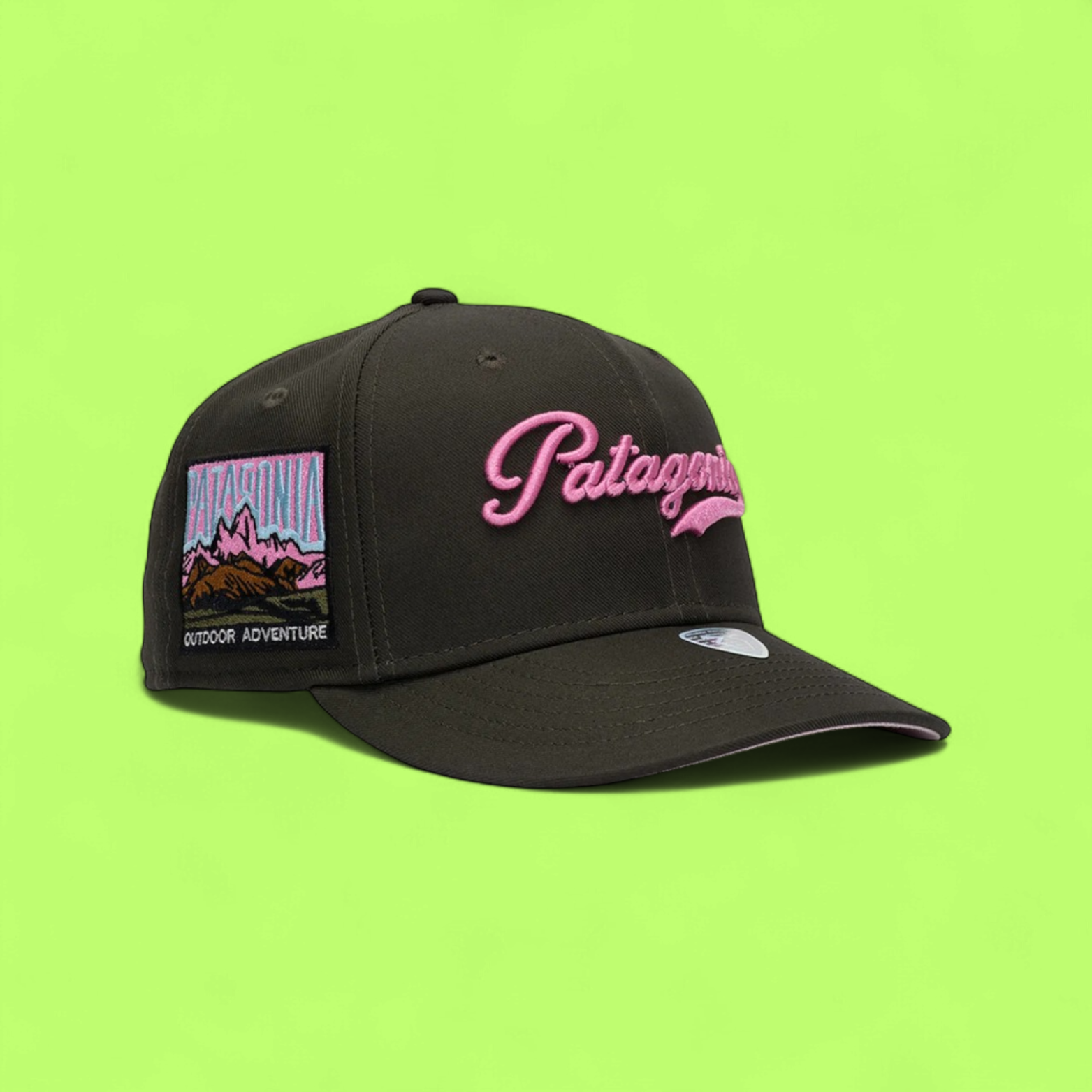 DARK BROWN BASEBALL CAP WITH PINK PATAGONIA EMBROIDERY