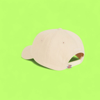 DICKIES CLASSIC BASEBALL CAP WITH SMALL LOGO IN BEIGE CWCD