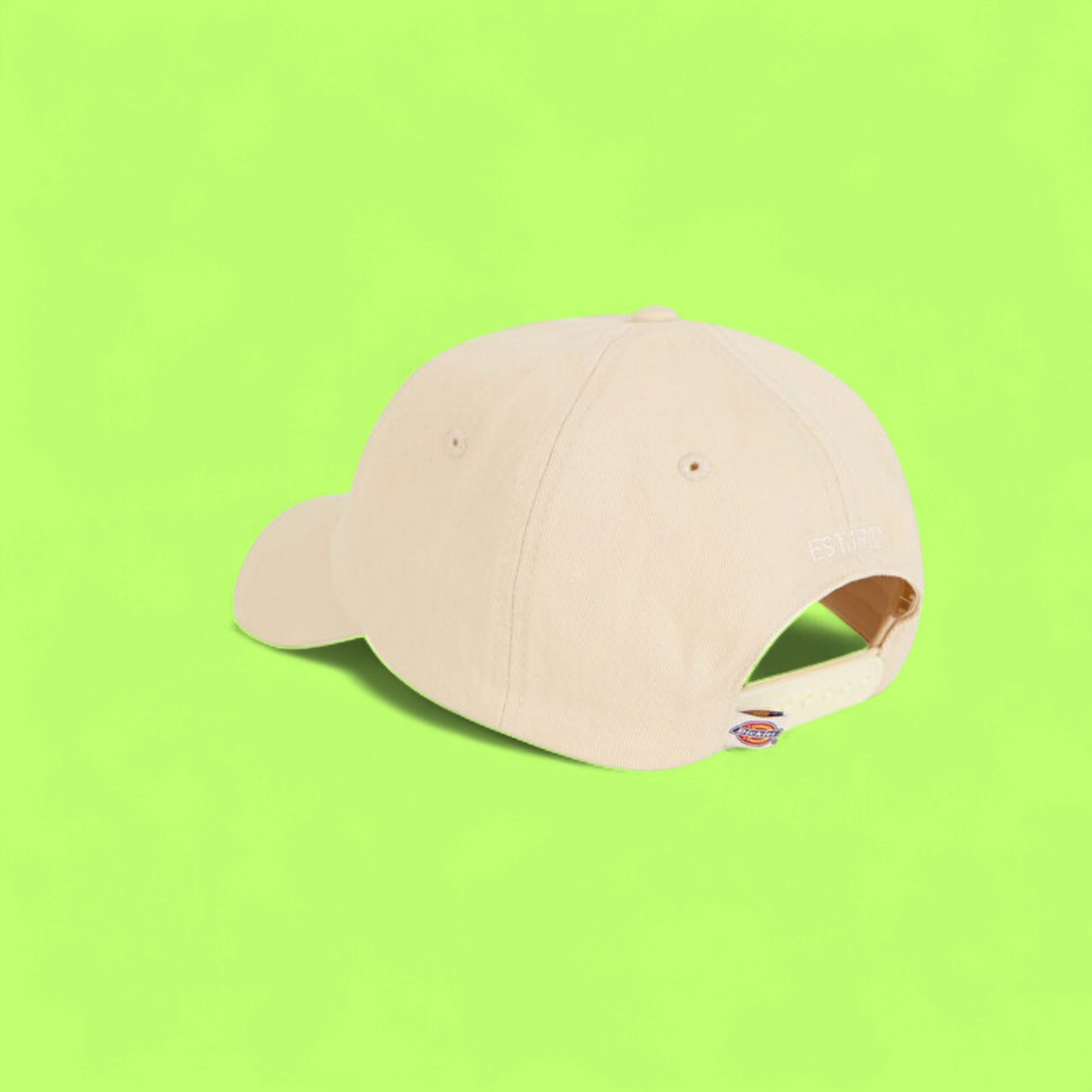 DICKIES CLASSIC BASEBALL CAP WITH SMALL LOGO IN BEIGE CWCD
