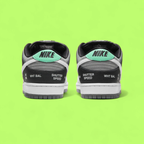 NIKE SB DUNK LOW VX1000 LIMITED EDITION CAMERA INSPIRED