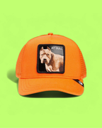 PIT BULL ORANGE TRUCKER HAT WITH EMBROIDERED DOG PATCH
